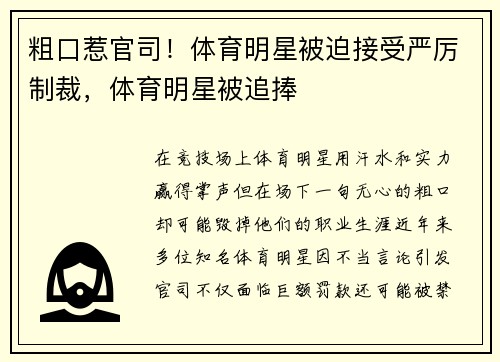粗口惹官司！体育明星被迫接受严厉制裁，体育明星被追捧